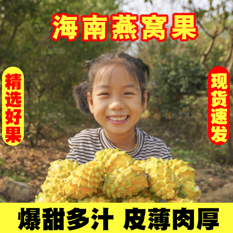 手里拿着燕窝果