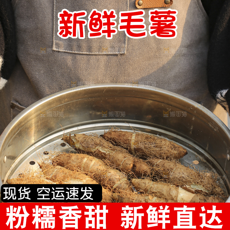 手里拿着新鲜毛薯