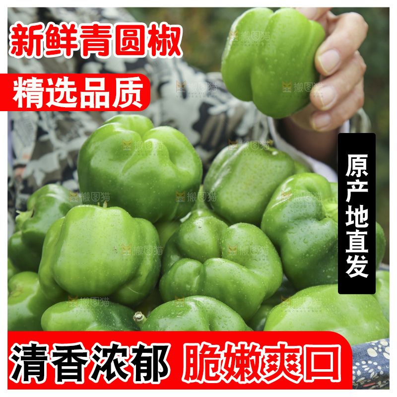 手里拿着新鲜青圆椒