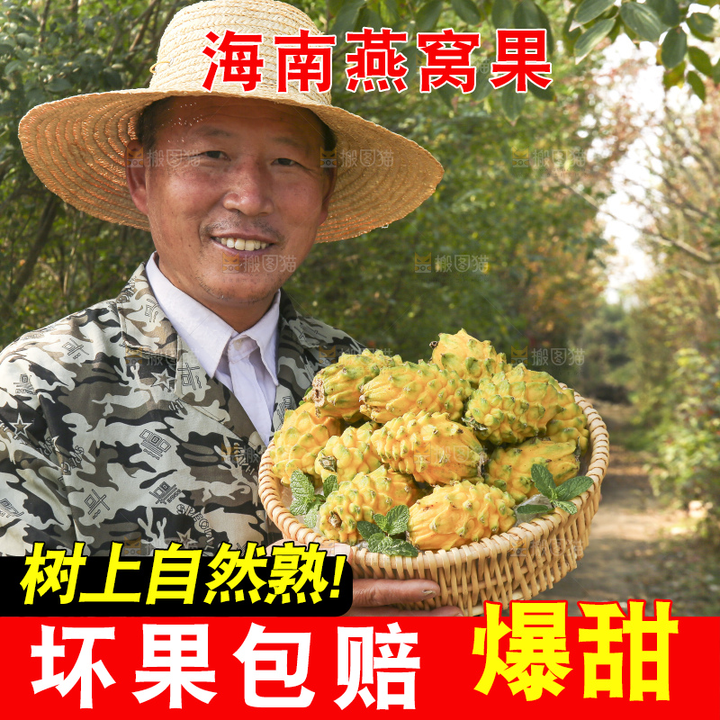 手里拿着燕窝果