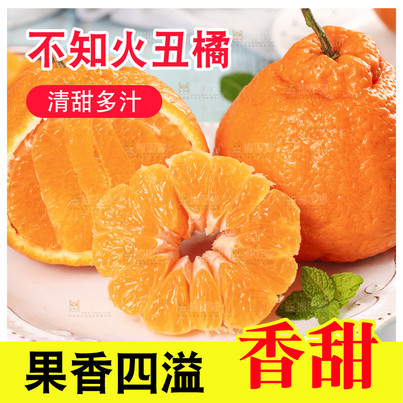 浅底上的丑八怪