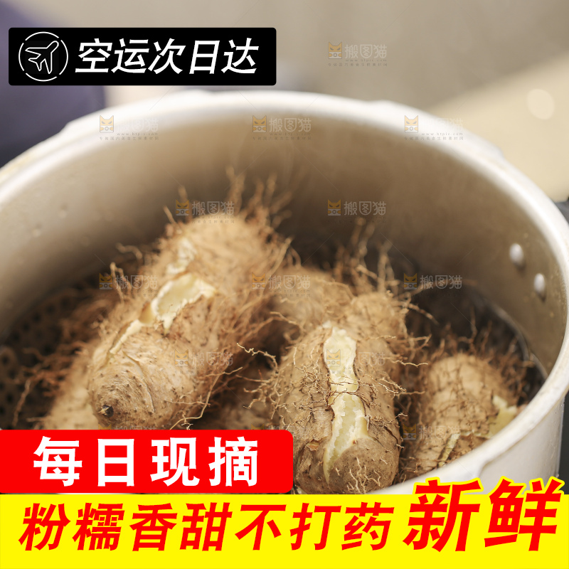 锅里蒸熟的毛薯