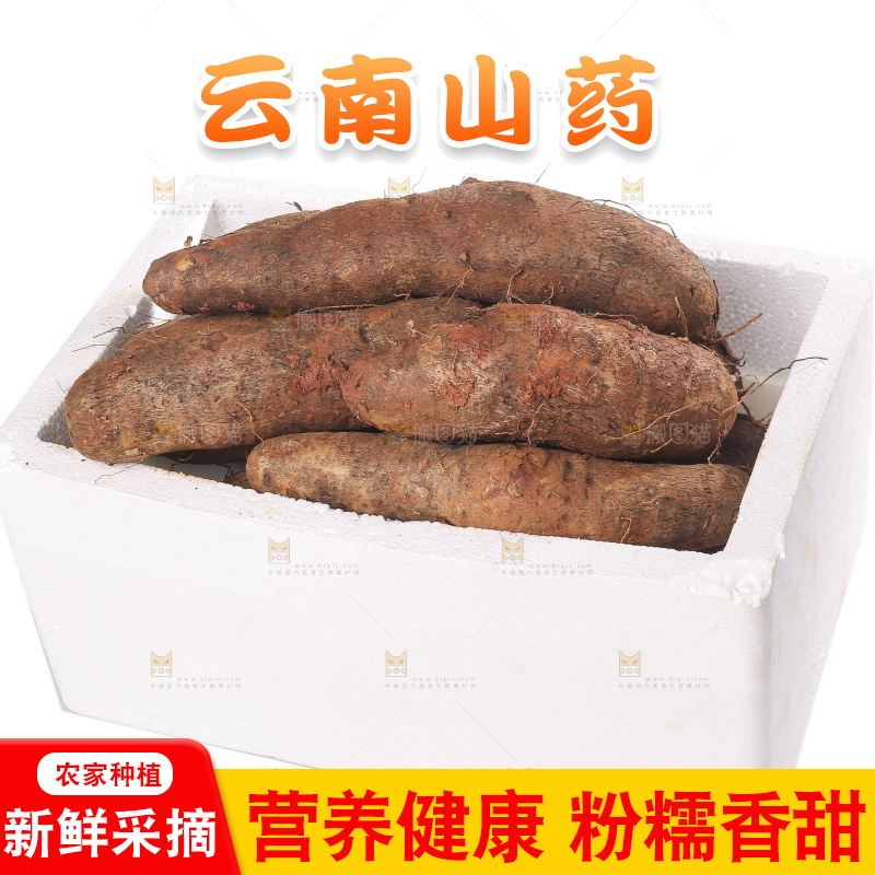 白底上的云南山药