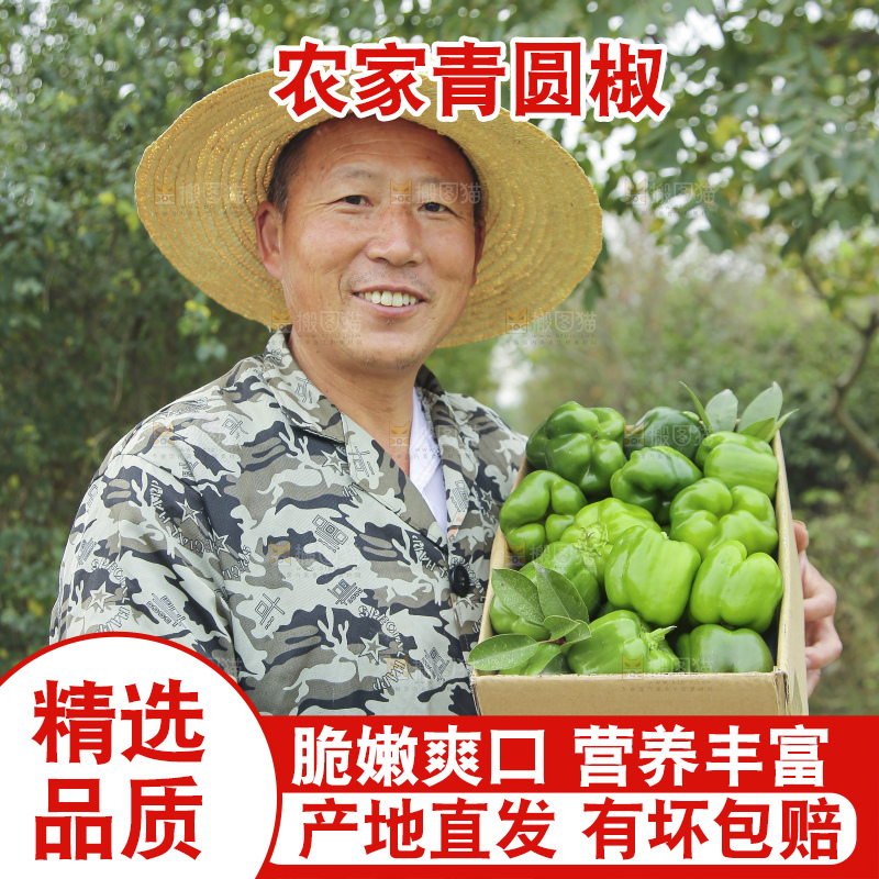 手里拿着新鲜青圆椒