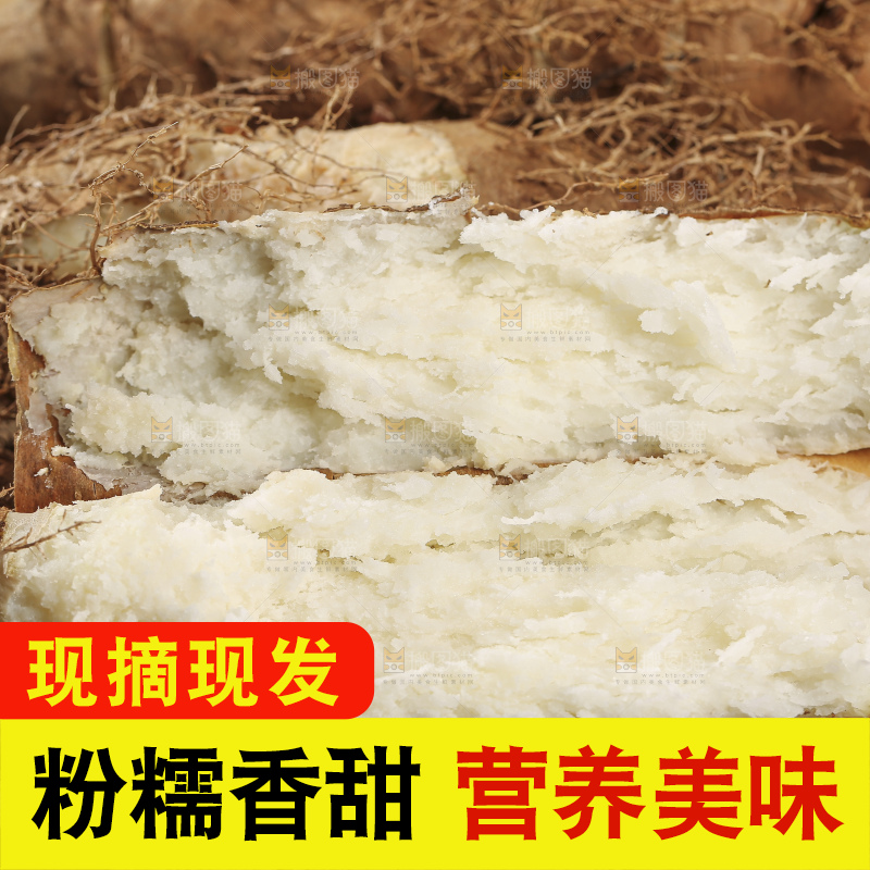 深底上的新鲜毛薯