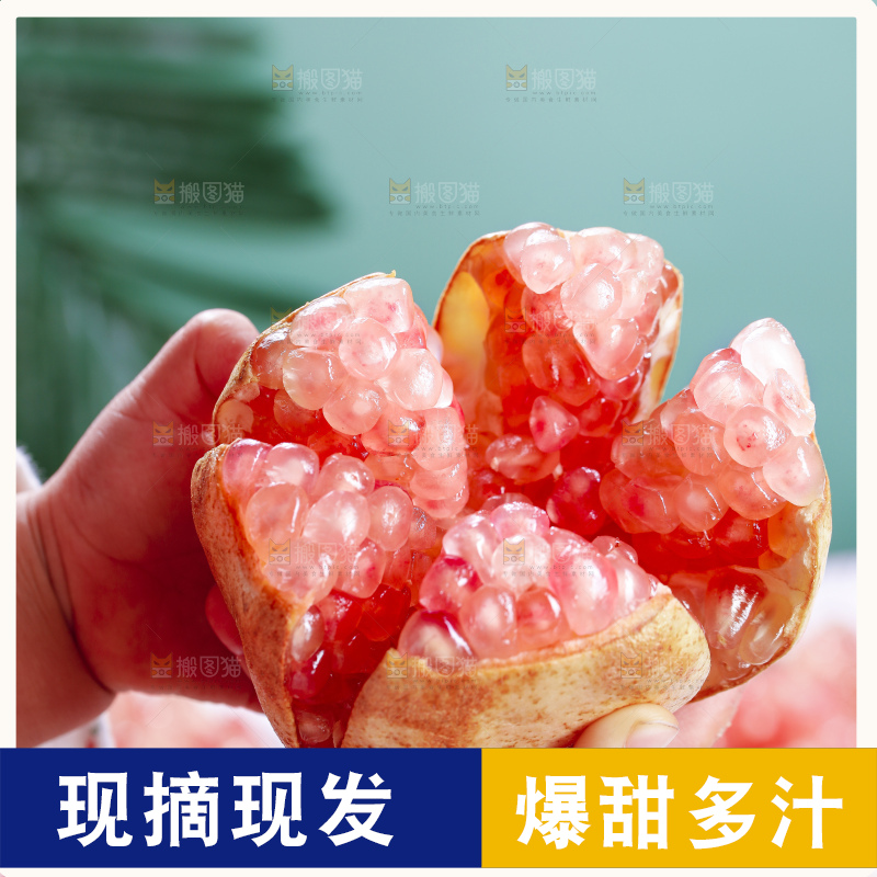 浅底上的蒙自石榴