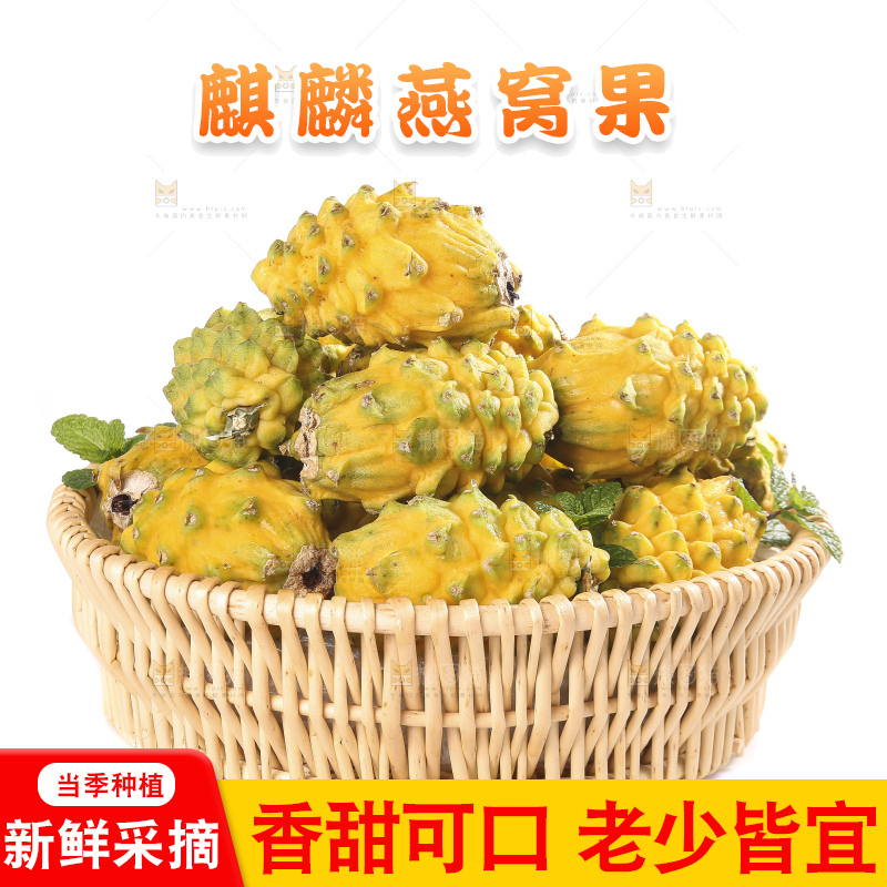 白底上的燕窝果