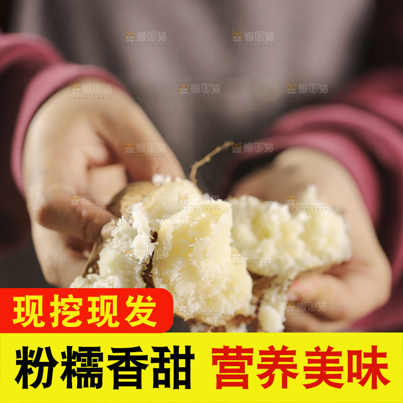 锅里蒸熟的毛薯