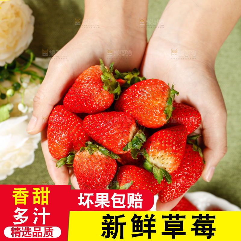 浅底上的丹东草莓