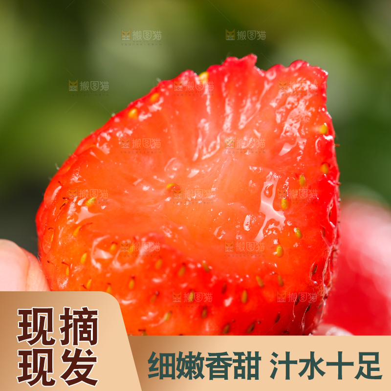 深底上的丹东草莓