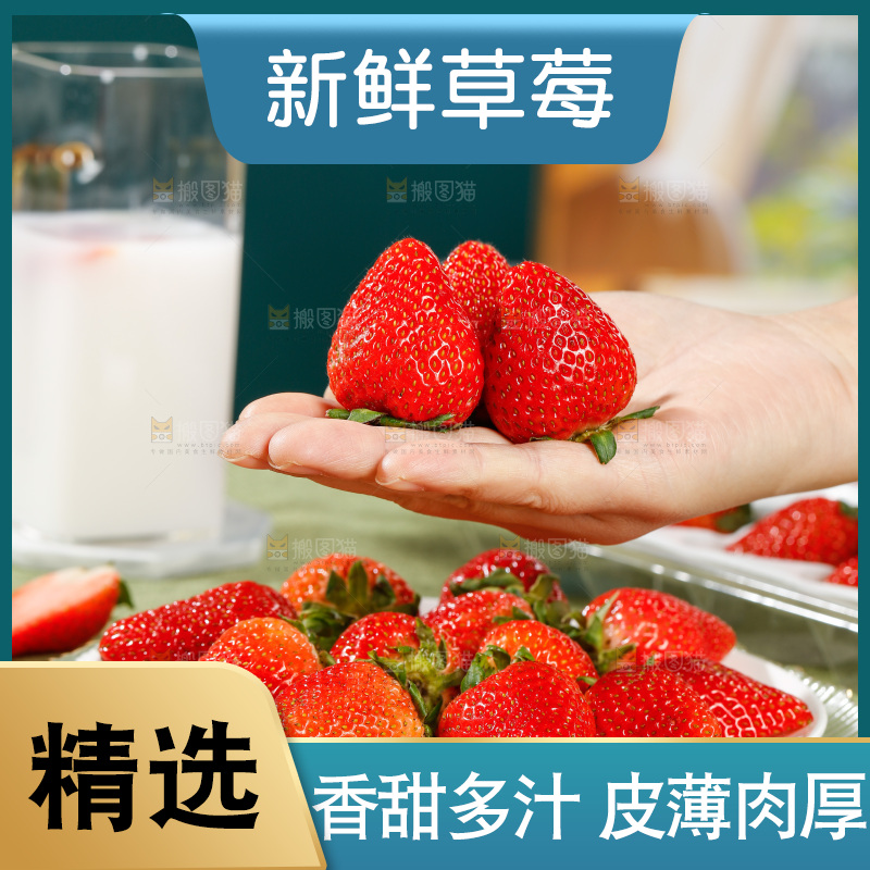 浅底上的丹东草莓