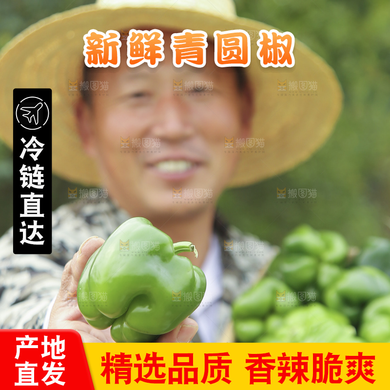 手里拿着新鲜青圆椒