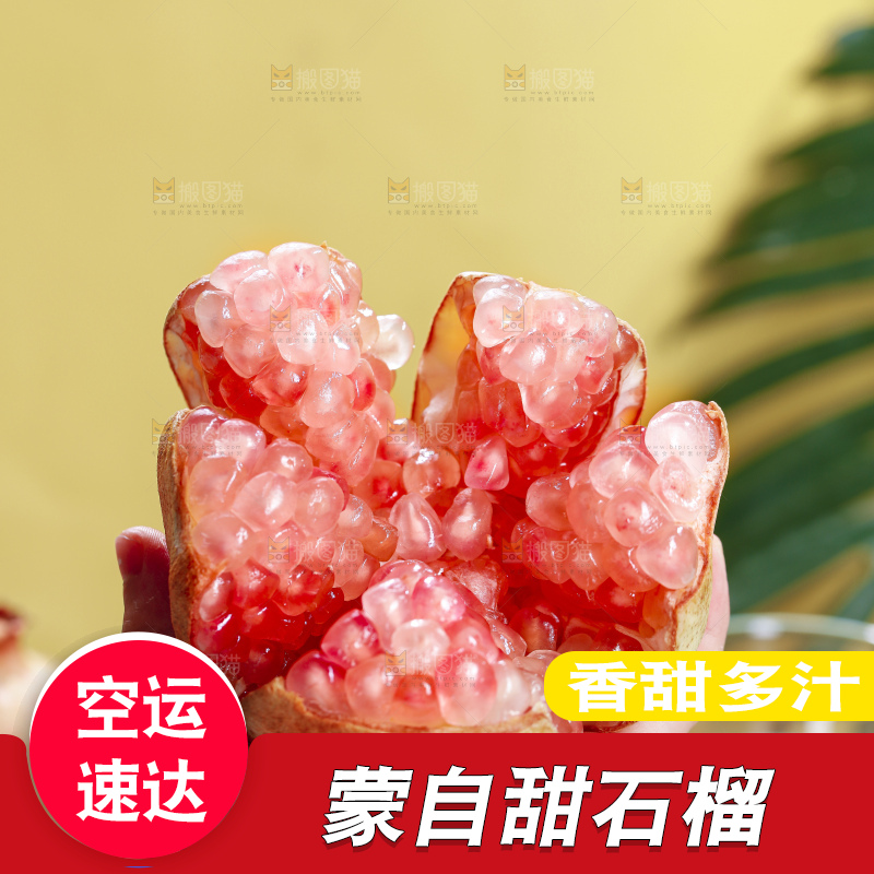 浅底上的蒙自石榴