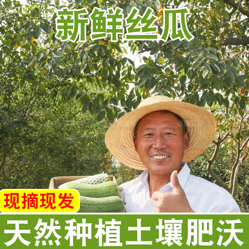 手里拿着新鲜丝瓜