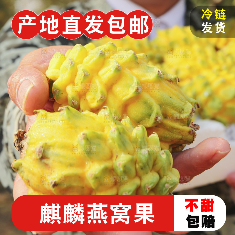 手里拿着燕窝果
