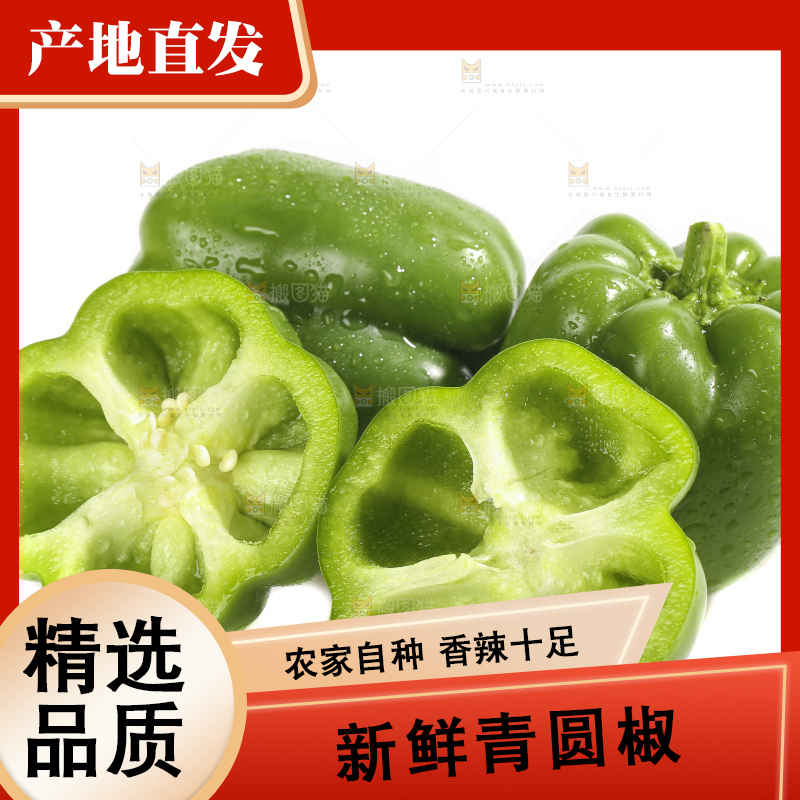 白底上的青圆椒