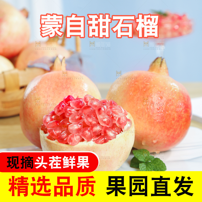 浅底上的蒙自石榴