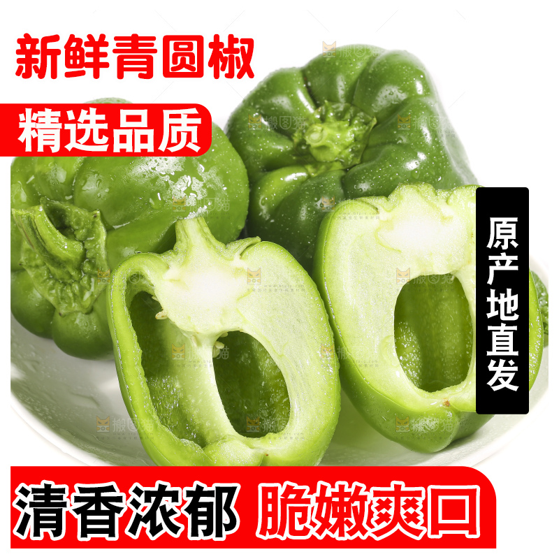 浅底上的青圆椒