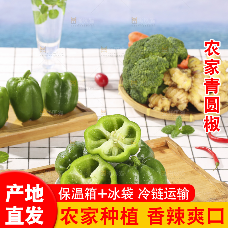 浅底上的青圆椒