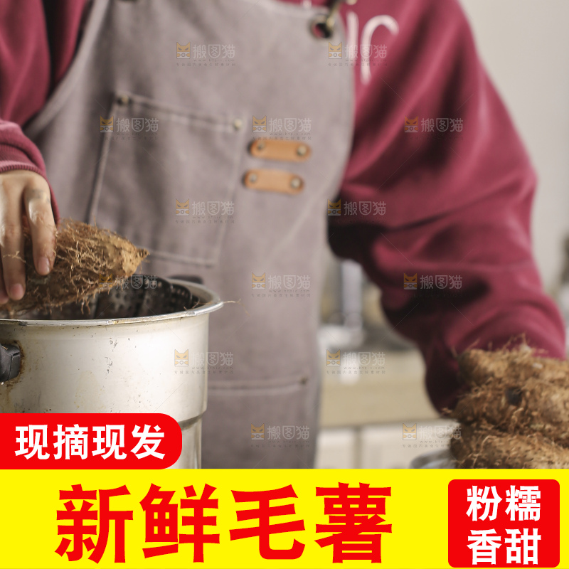 锅里蒸熟的毛薯