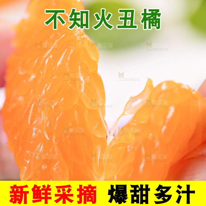 浅底上的丑八怪