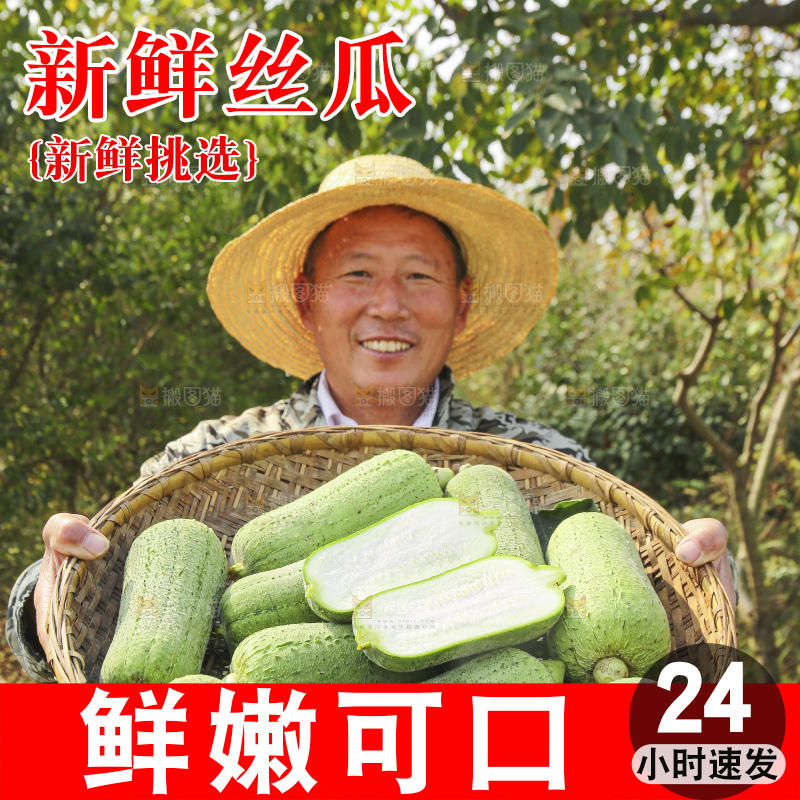 手里拿着新鲜丝瓜
