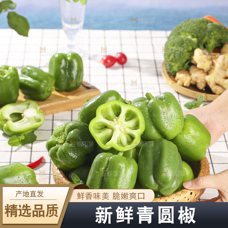 浅底上的青圆椒