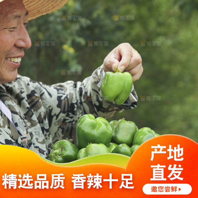 手里拿着新鲜青圆椒
