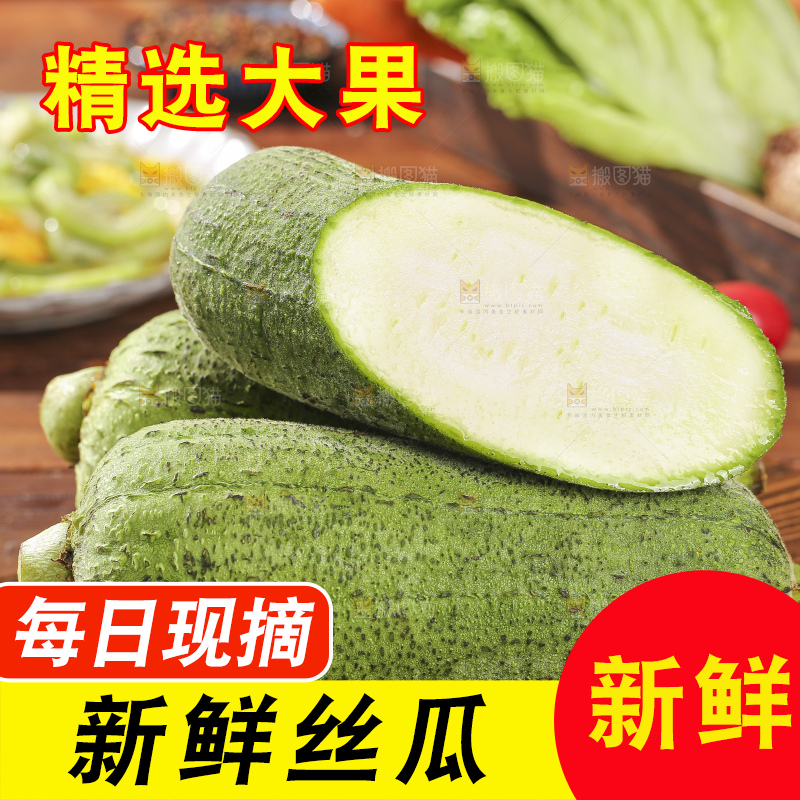 肉丝瓜主图