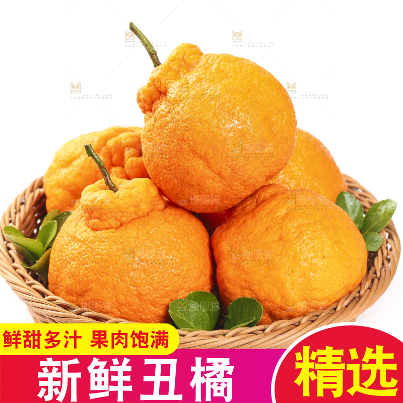 白底上的丑橘