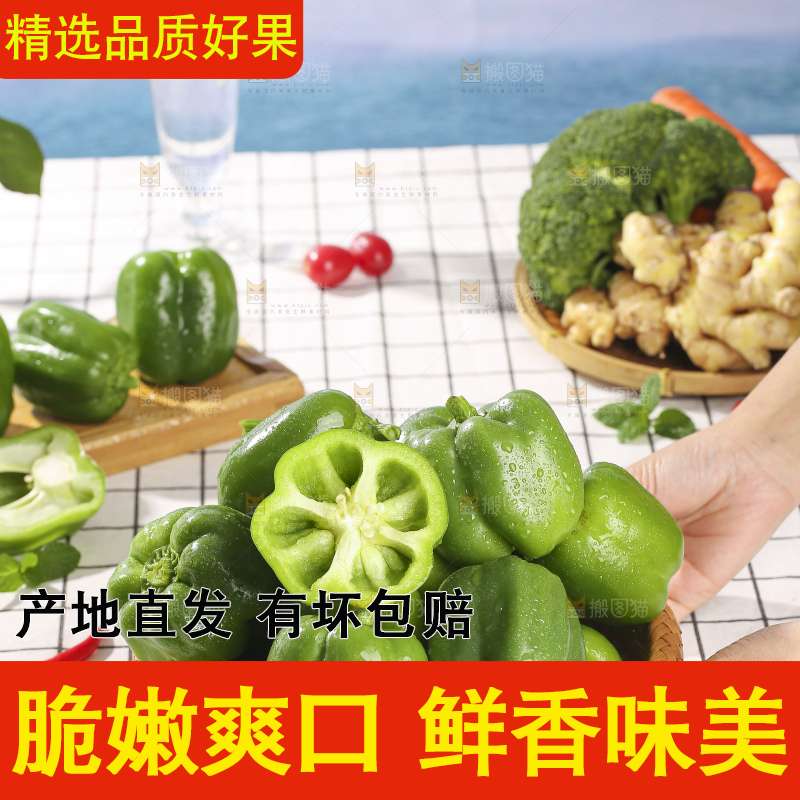 浅底上的青圆椒
