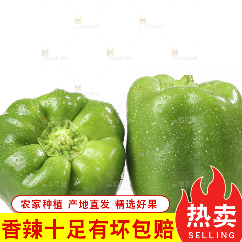 白底上的青圆椒