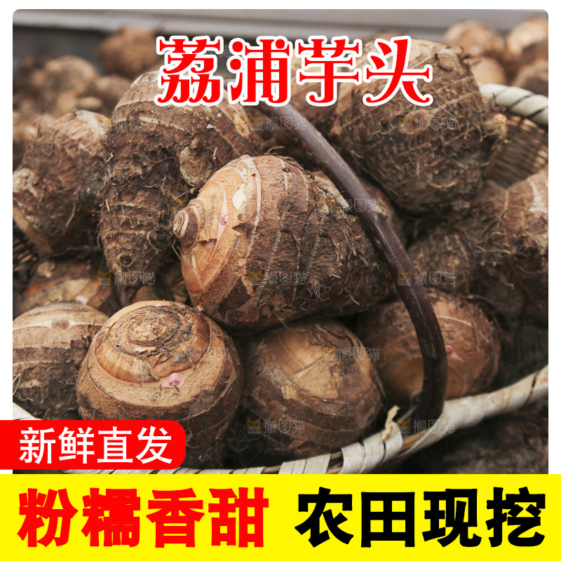 大片荔浦芋头