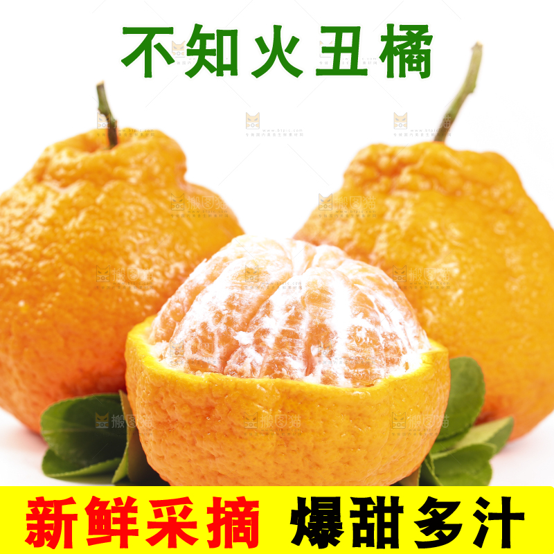 白底上的丑橘