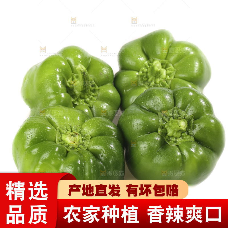 白底上的青圆椒
