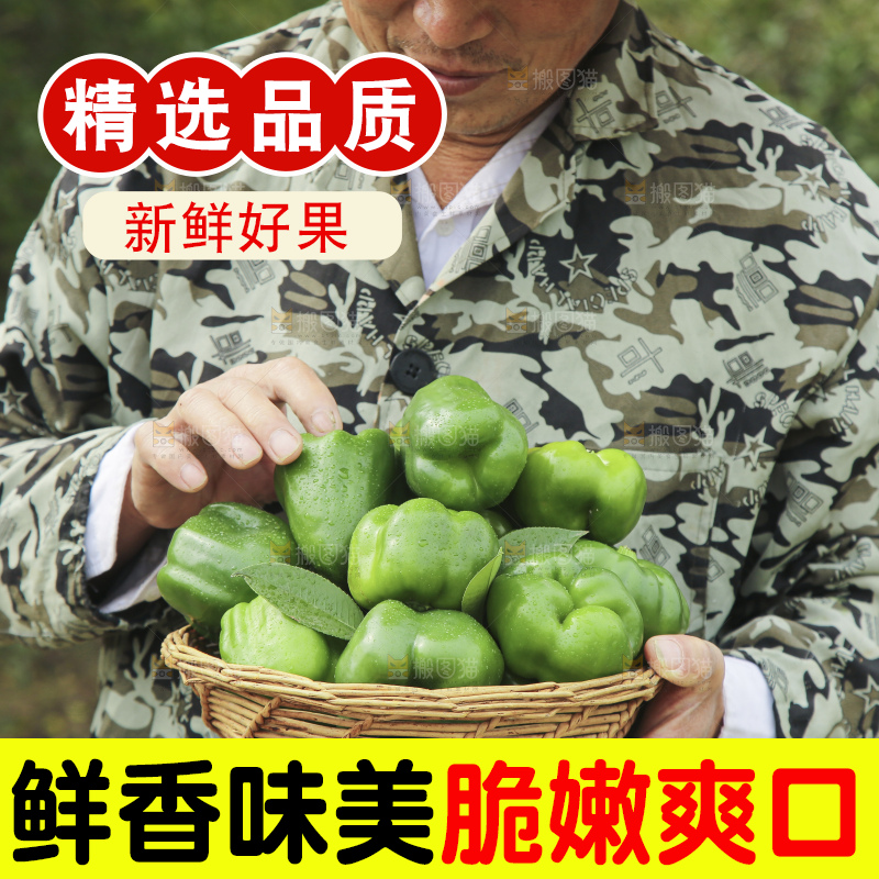 手里拿着新鲜青圆椒