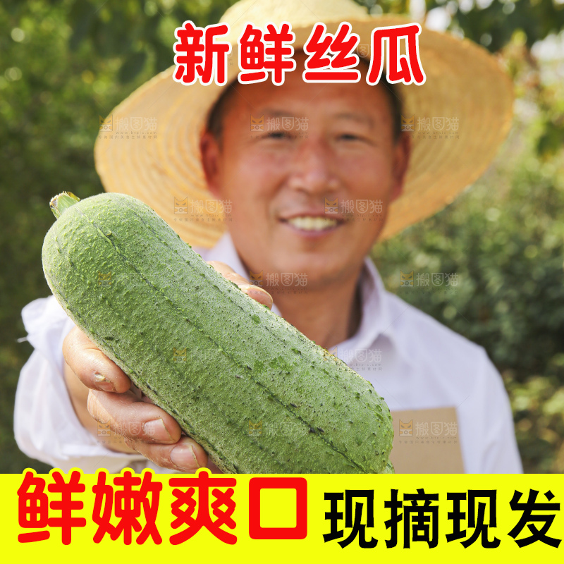 手里拿着新鲜丝瓜