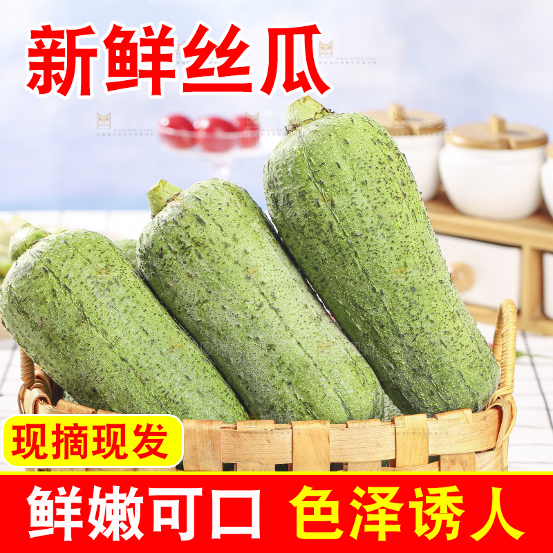 浅底上的肉丝瓜