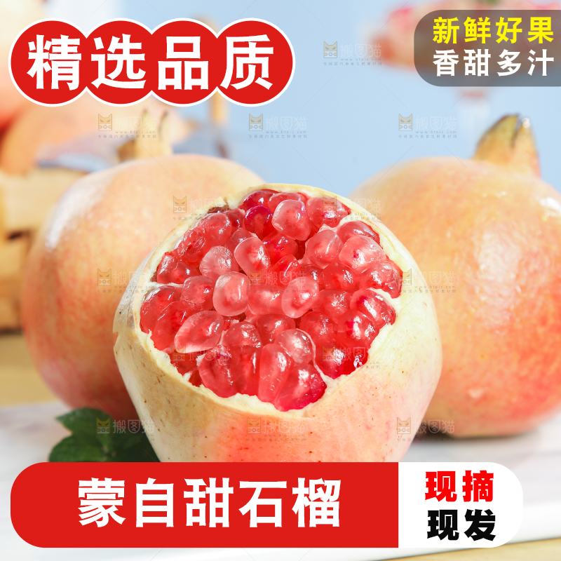 浅底上的蒙自石榴
