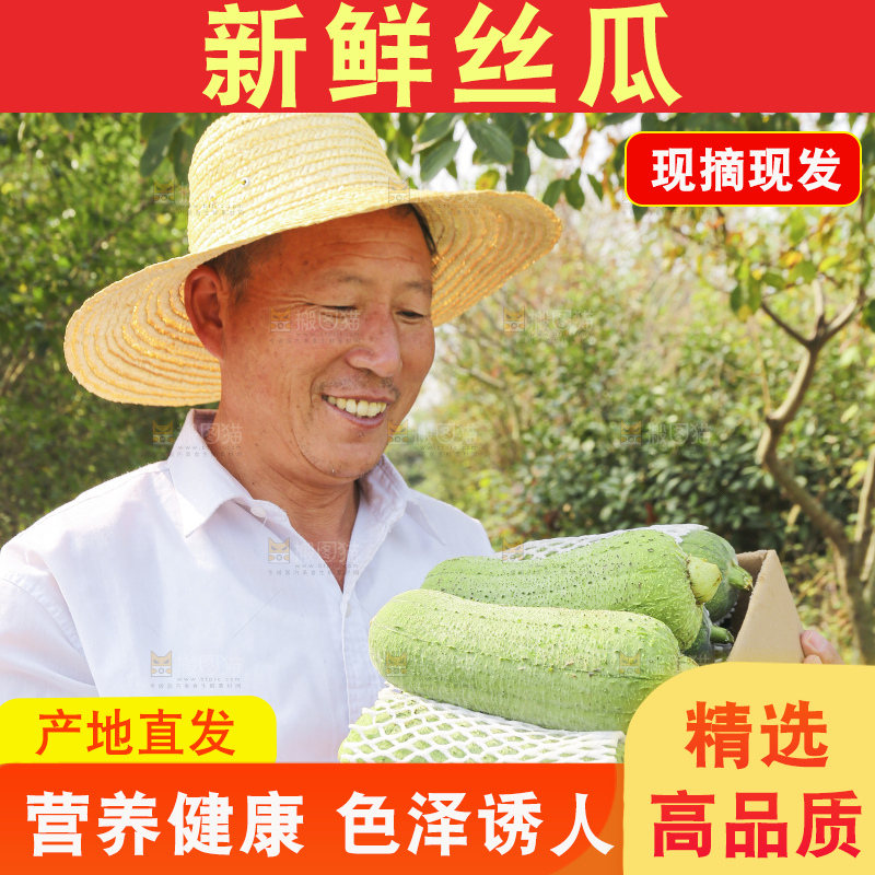 手里拿着新鲜丝瓜