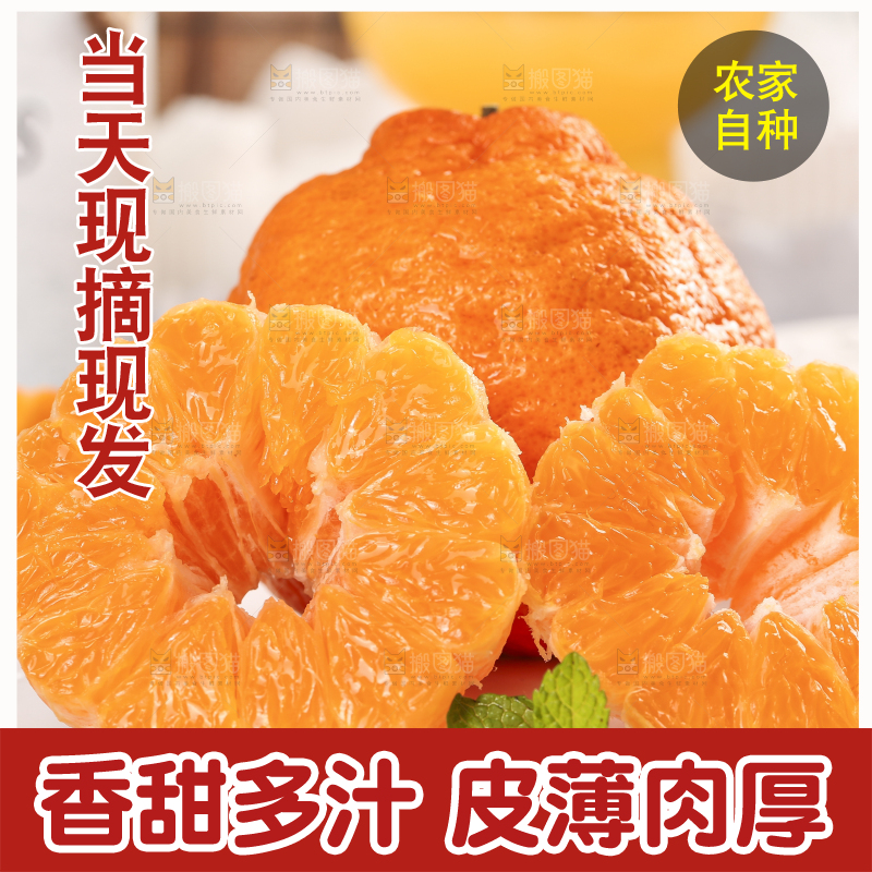 浅底上的丑八怪