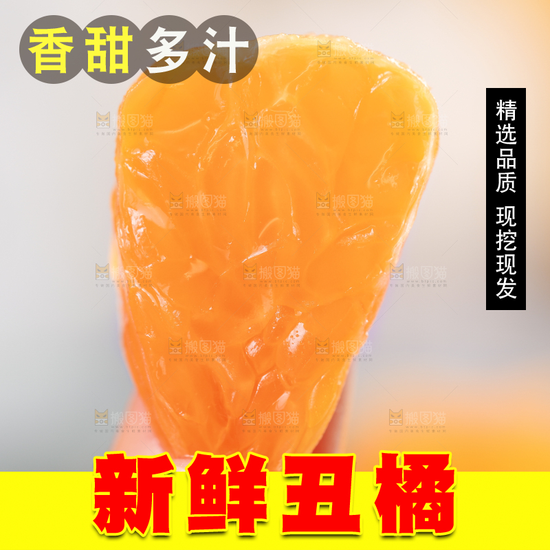 浅底上的丑八怪