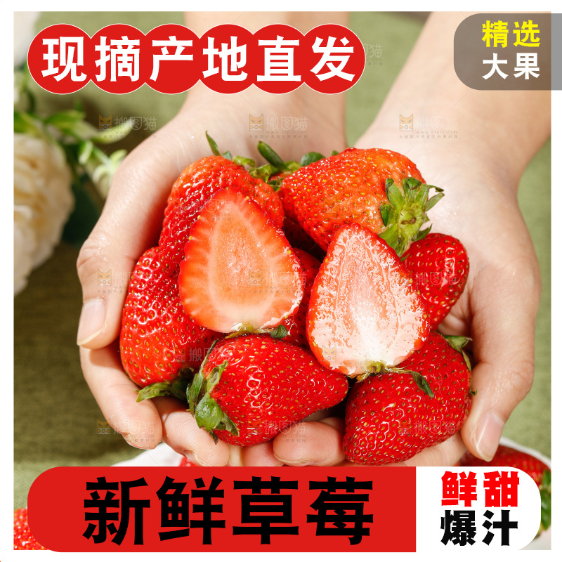 浅底上的丹东草莓