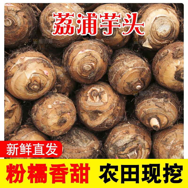 大片荔浦芋头