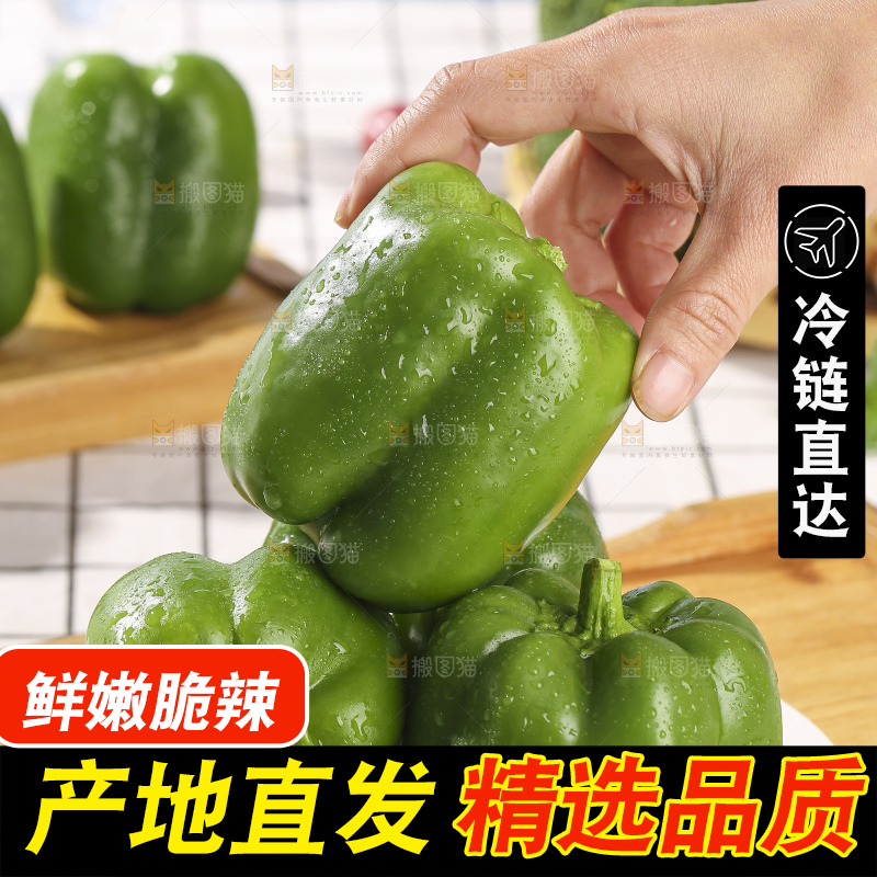 浅底上的青圆椒