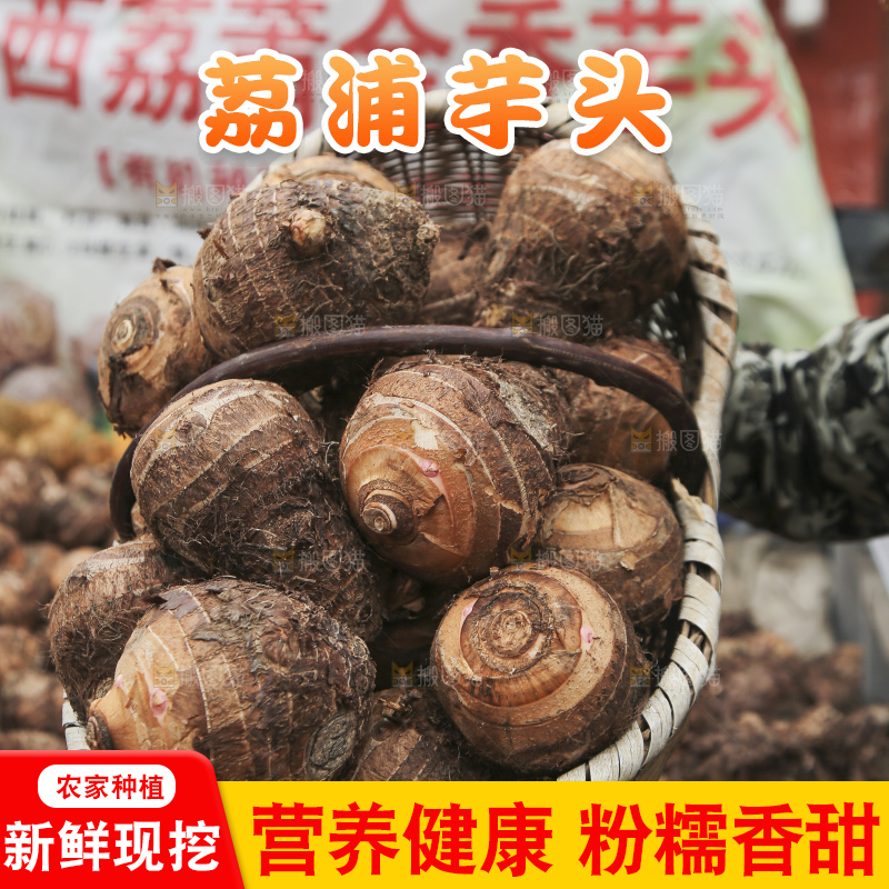 大片荔浦芋头