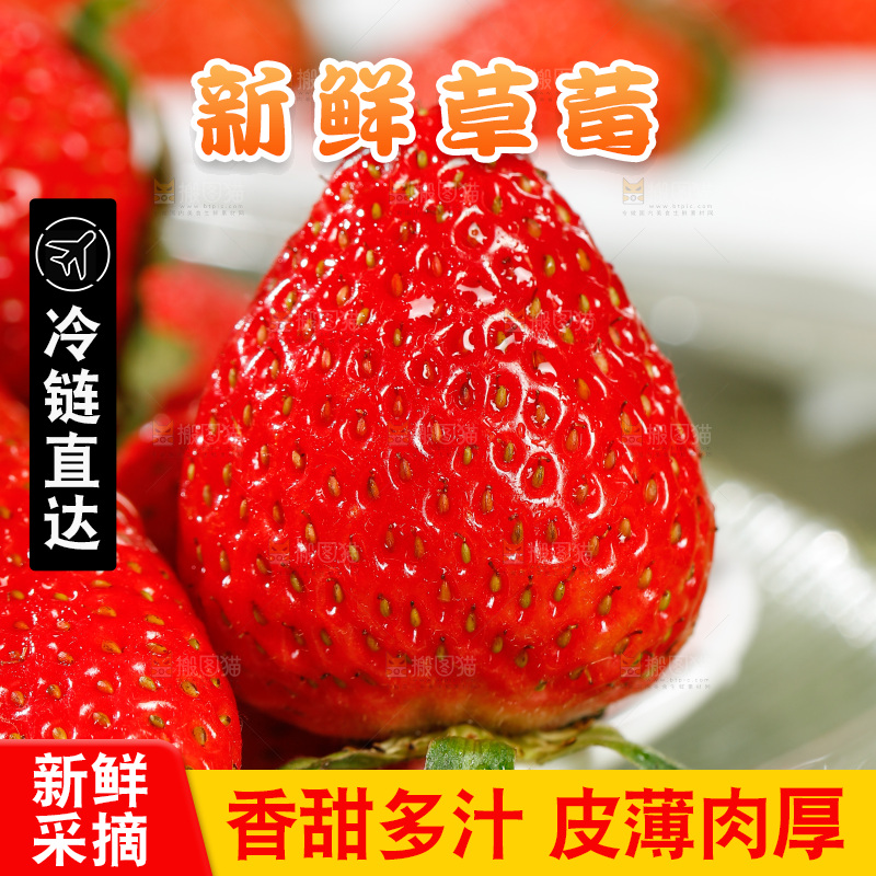 浅底上的丹东草莓