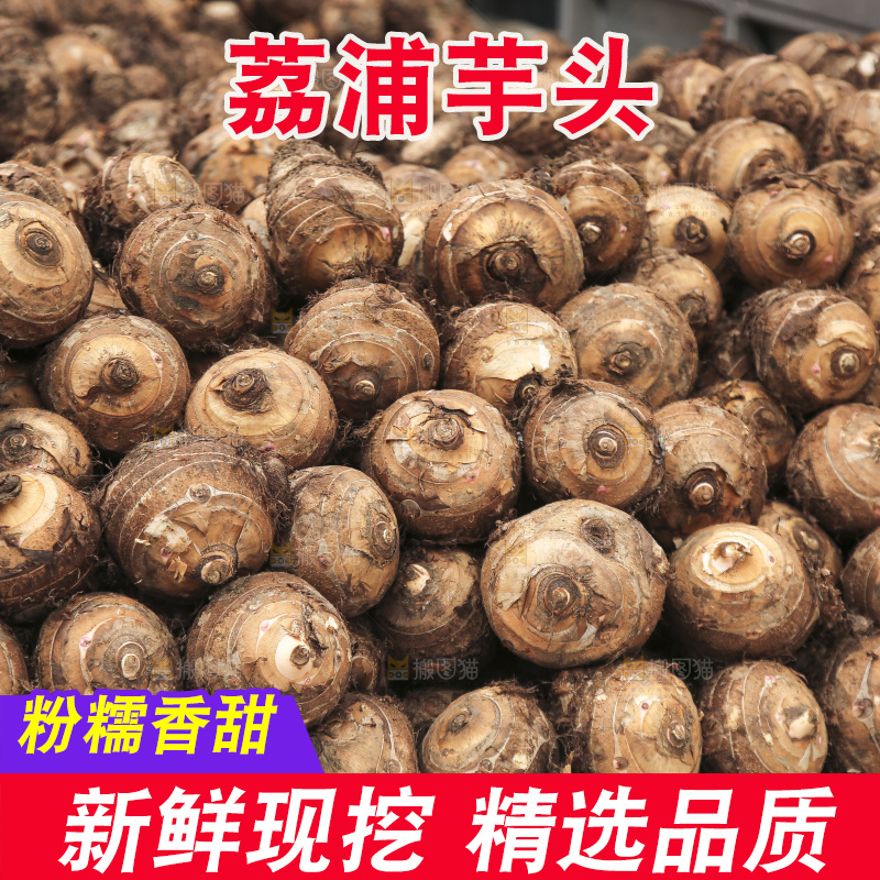 大片荔浦芋头