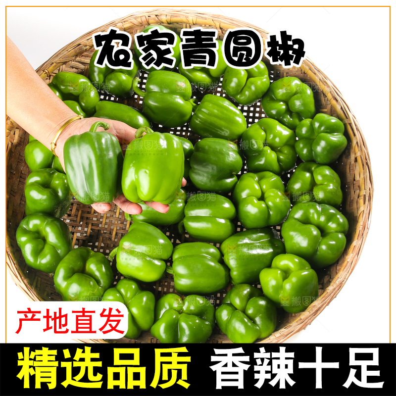 白底上的青圆椒