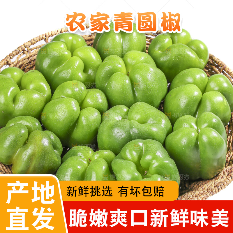 白底上的青圆椒